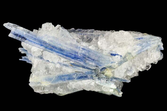 Vibrant Blue Kyanite Crystals In Quartz - Brazil #113470